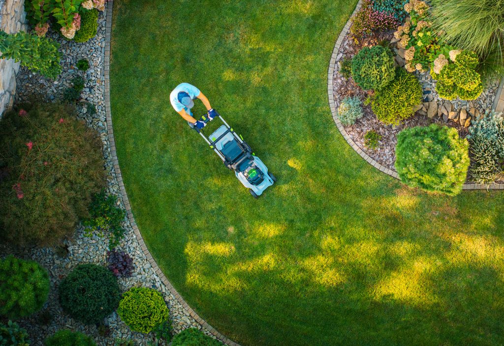 lawn maintenance activity in a residential garden 2025 09 02 16 29 13 utc