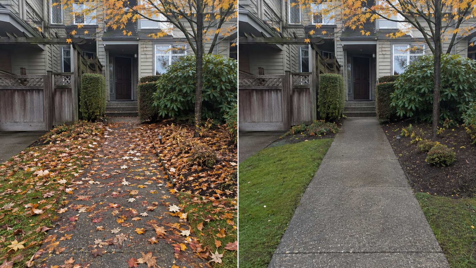 Leaf Removal 3 Leaf-covered property before cleanup